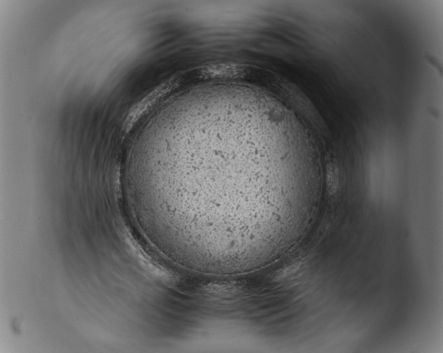 X0000103410725200809261643