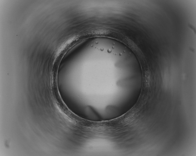 X0000103410726200809261643