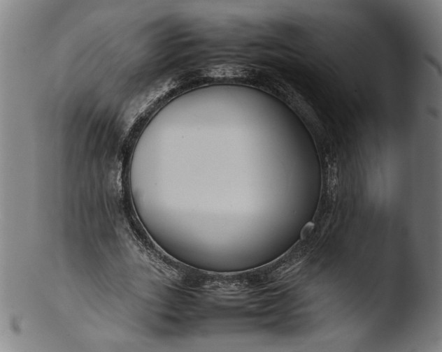 X0000103410727200809261643