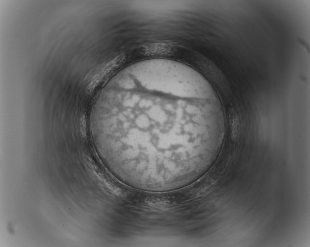 X0000103410729200809261643