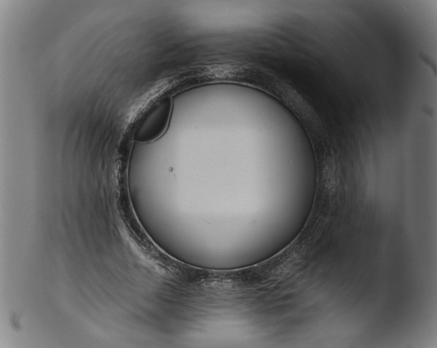 X0000103410730200809261643