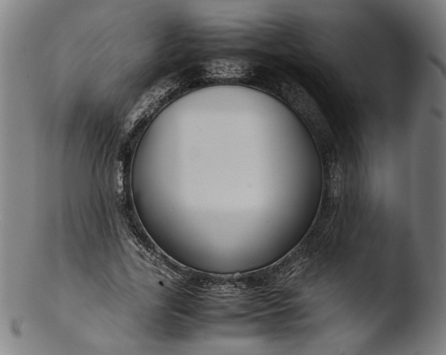 X0000103410731200809261643