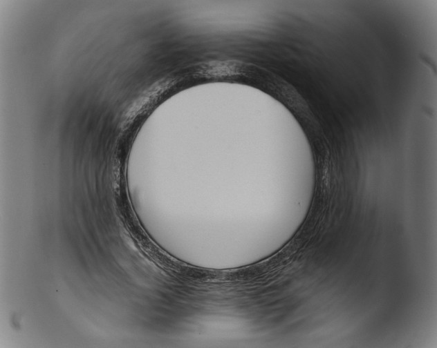 X0000103410732200809261643