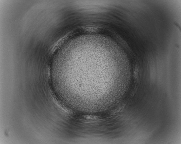 X0000103410733200809261643