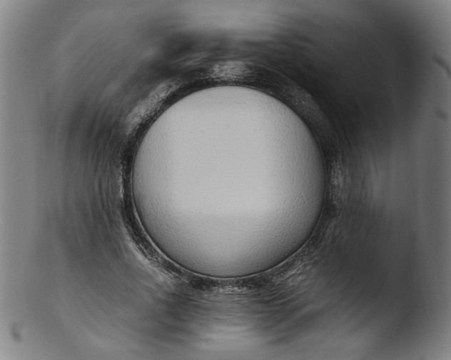 X0000103410734200809261643