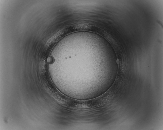 X0000103410735200809261643