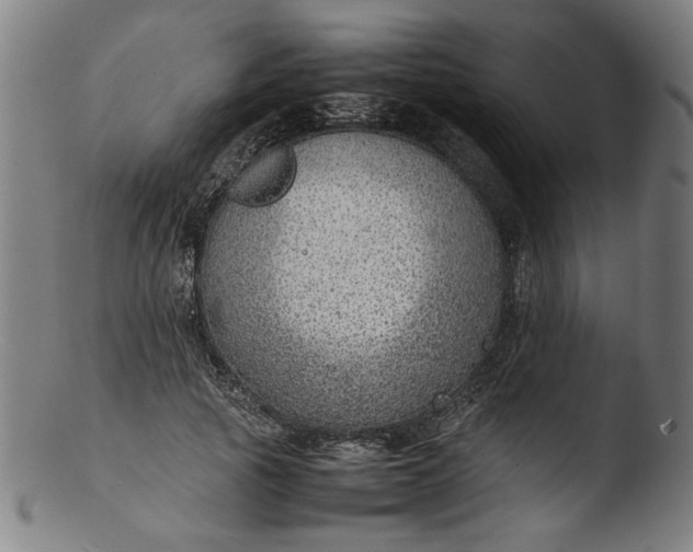 X0000103410737200809261643