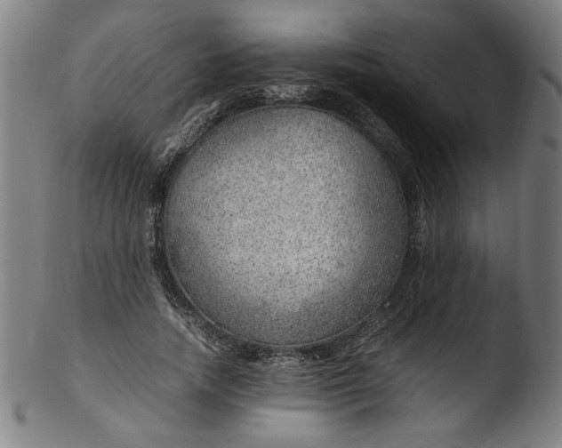 X0000103410738200809261643