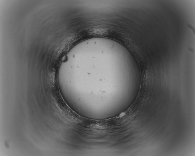 X0000103410739200809261643