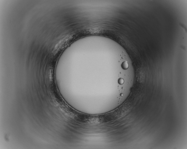 X0000103410740200809261643