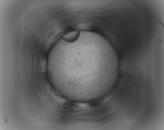 X0000103410741200809261643