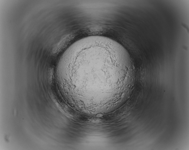 X0000103410742200809261643