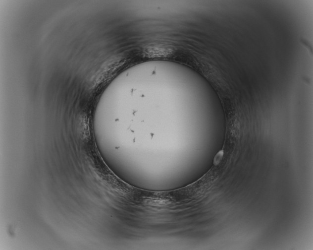 X0000103410743200809261643