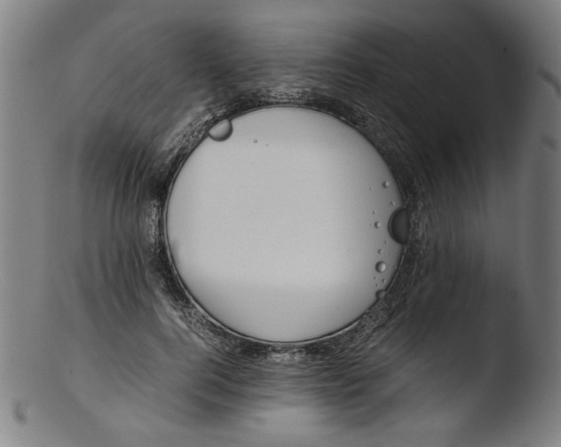 X0000103410744200809261643