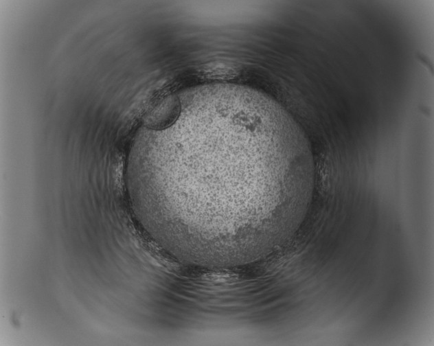 X0000103410745200809261643