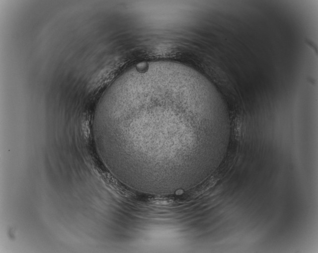 X0000103410746200809261643