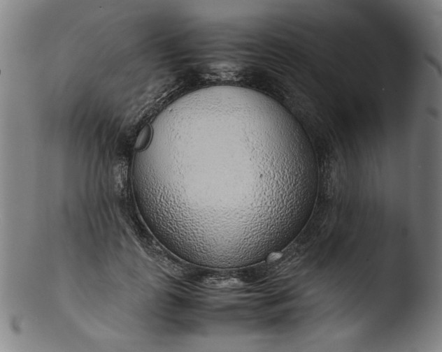 X0000103410747200809261643