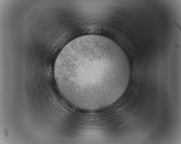 X0000103410748200809261643