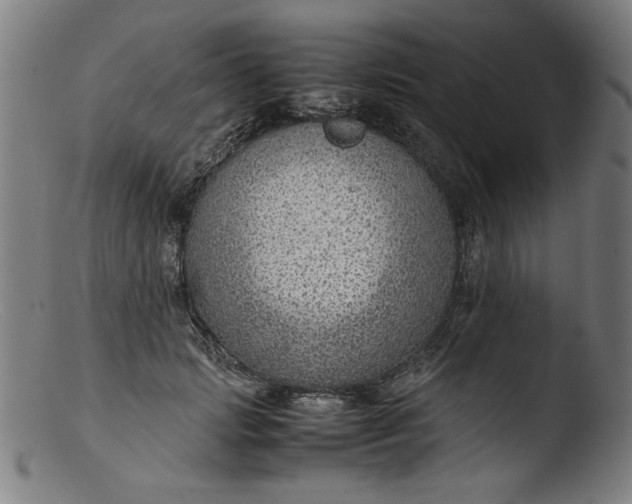 X0000103410749200809261643