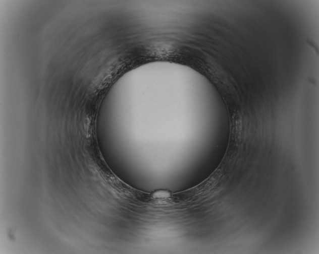 X0000103410750200809261643