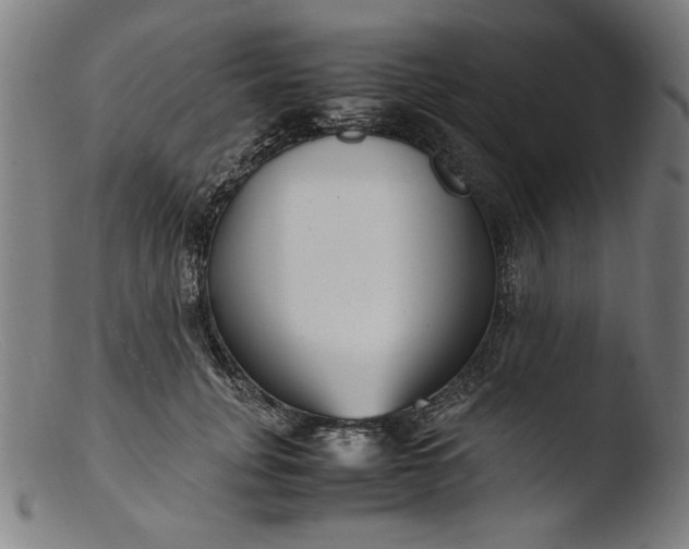 X0000103410751200809261643