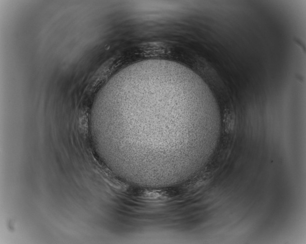 X0000103410753200809261643