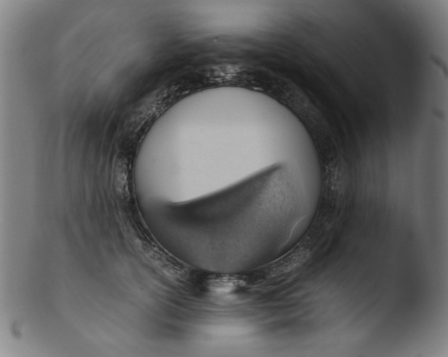 X0000103410754200809261643