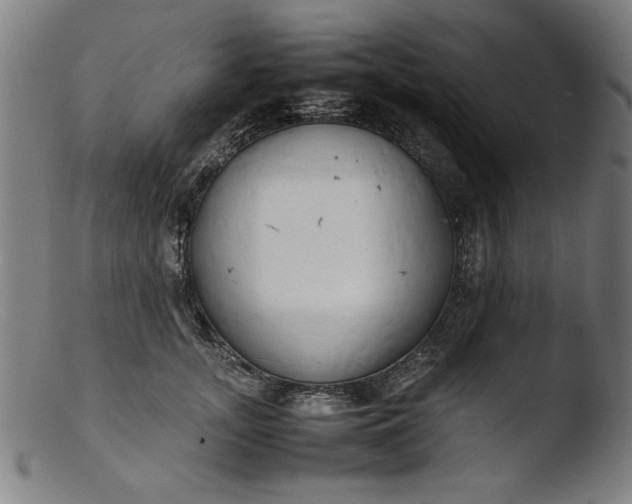 X0000103410755200809261643