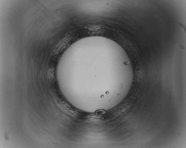 X0000103410756200809261643