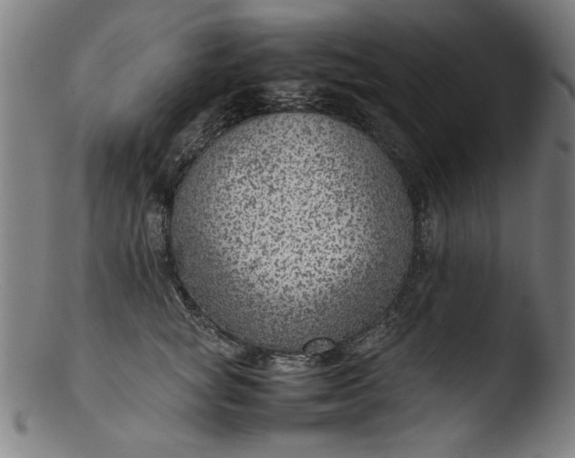 X0000103410757200809261643