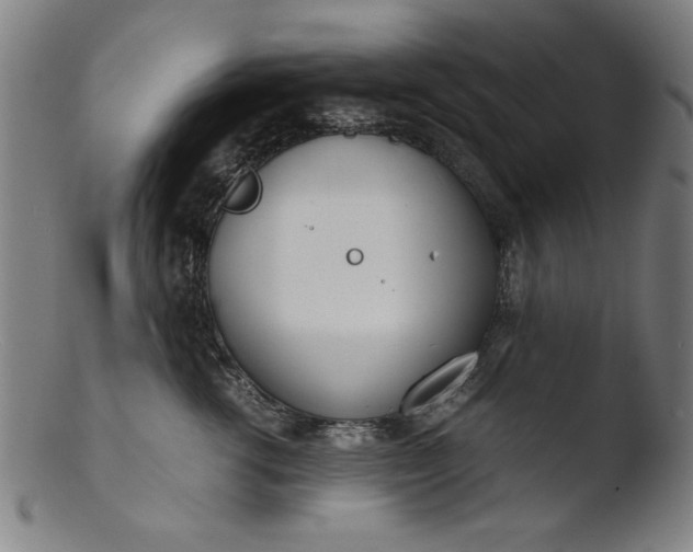 X0000103410762200809261643