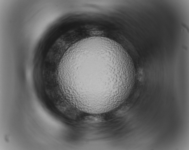 X0000103410763200809261643