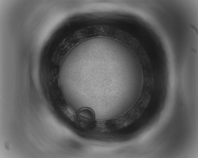 X0000103410766200809261643