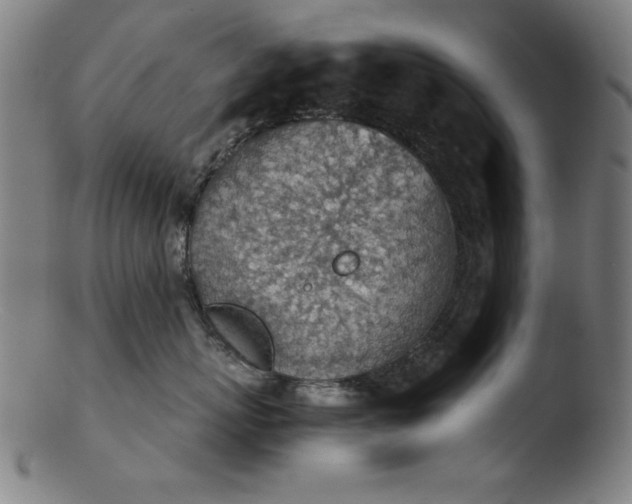 X0000103410767200809261643