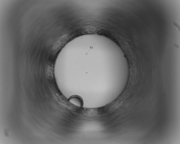 X0000103410768200809261643