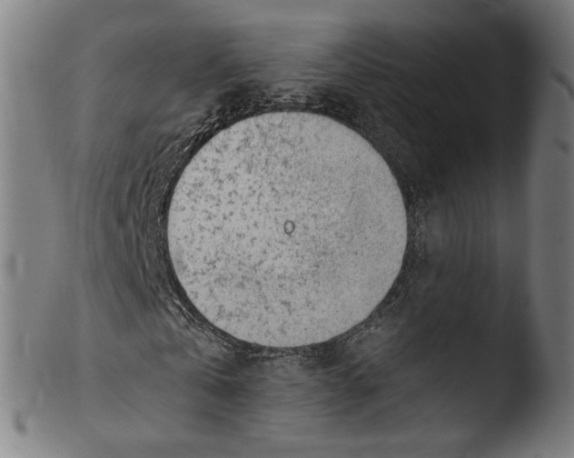 X0000103410769200809261642