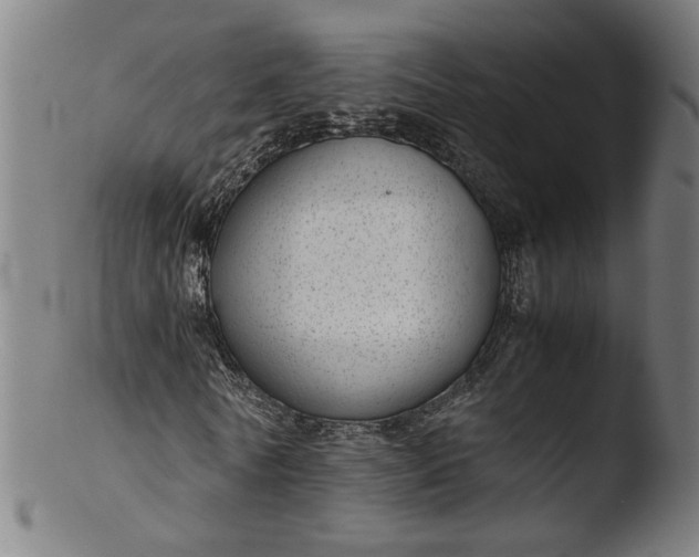 X0000103410770200809261642