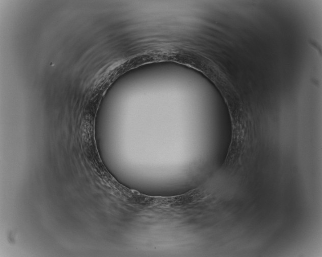 X0000103410773200809261642