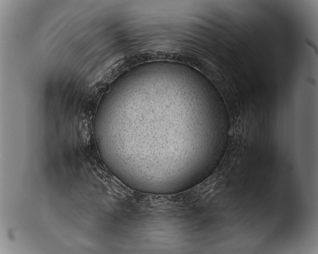 X0000103410774200809261642