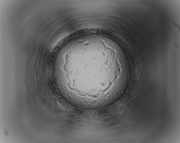 X0000103410775200809261642