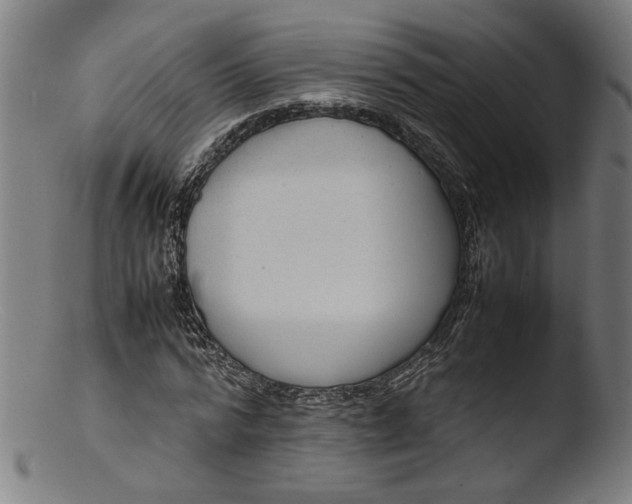 X0000103410776200809261642