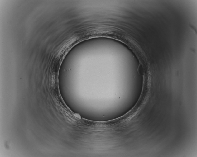 X0000103410777200809261642