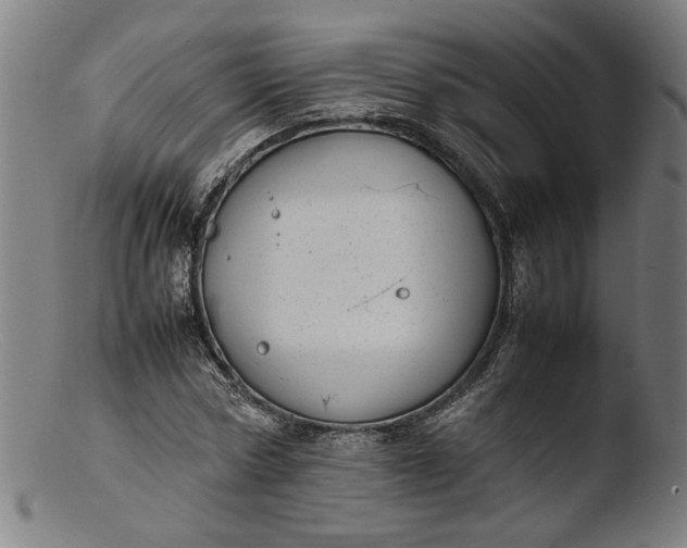 X0000103410778200809261642