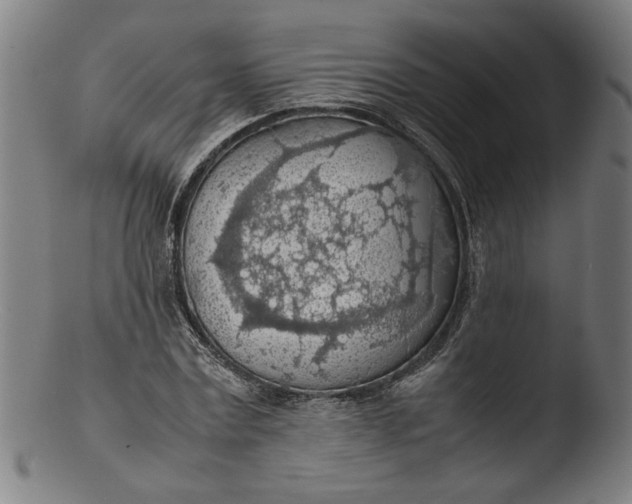 X0000103410779200809261642