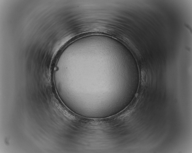 X0000103410780200809261642