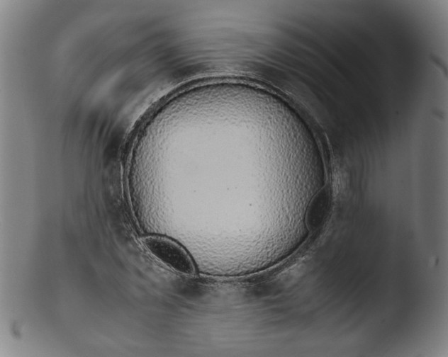 X0000103410781200809261642