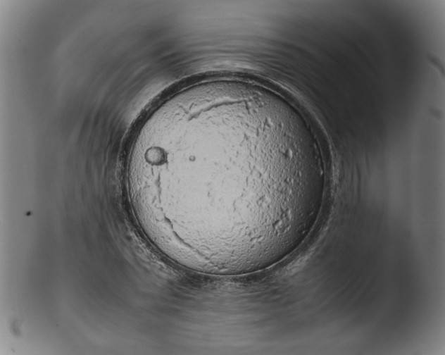 X0000103410783200809261642