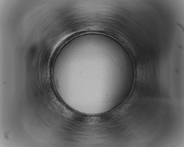 X0000103410784200809261642