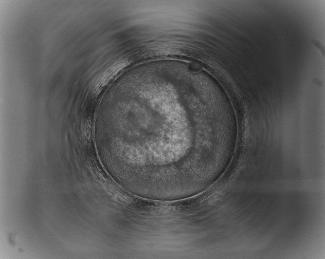 X0000103410785200809261642