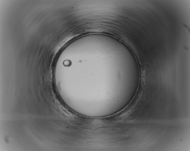 X0000103410787200809261642